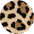 Tortoiseshell